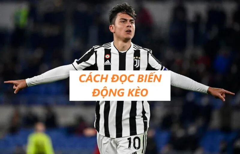 Cách đọc biến động kèo vừa dễ hiểu vừa chính xác nhất 2025 
