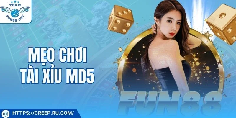 Mẹo chơi tài xỉu MD5 xác định nhịp dựa trên chuỗi kết quả